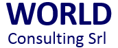 World Consulting